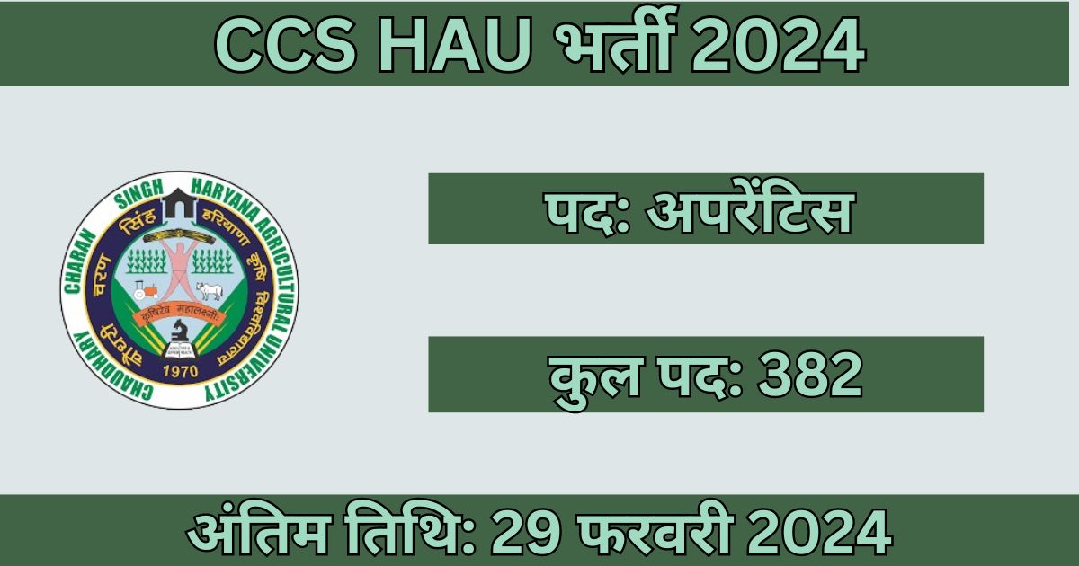 CCS HAU Recruitment 2024: 382 अपरेंटिस पदों के लिए भर्ती